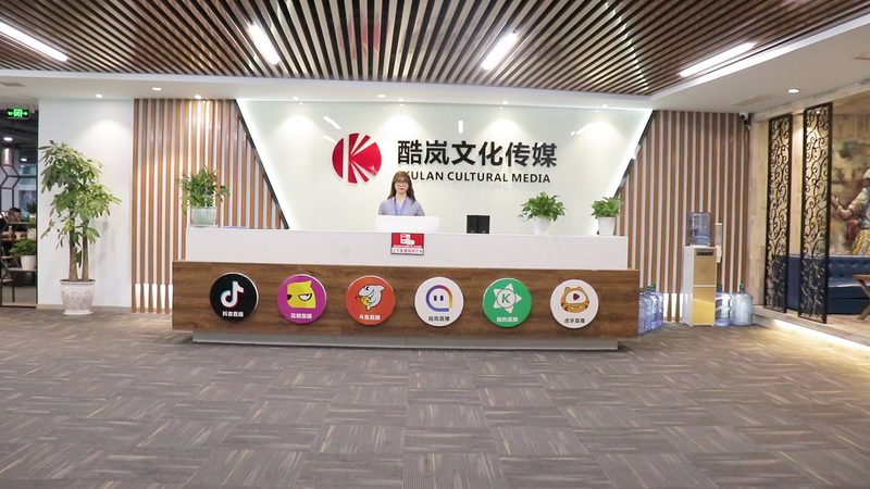 企业年度公关传播方案：构建品牌影响力的战略蓝图**
