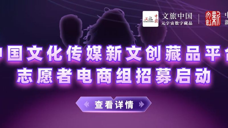 新媒体媒介投放ROI计算：精准评估，高效决策